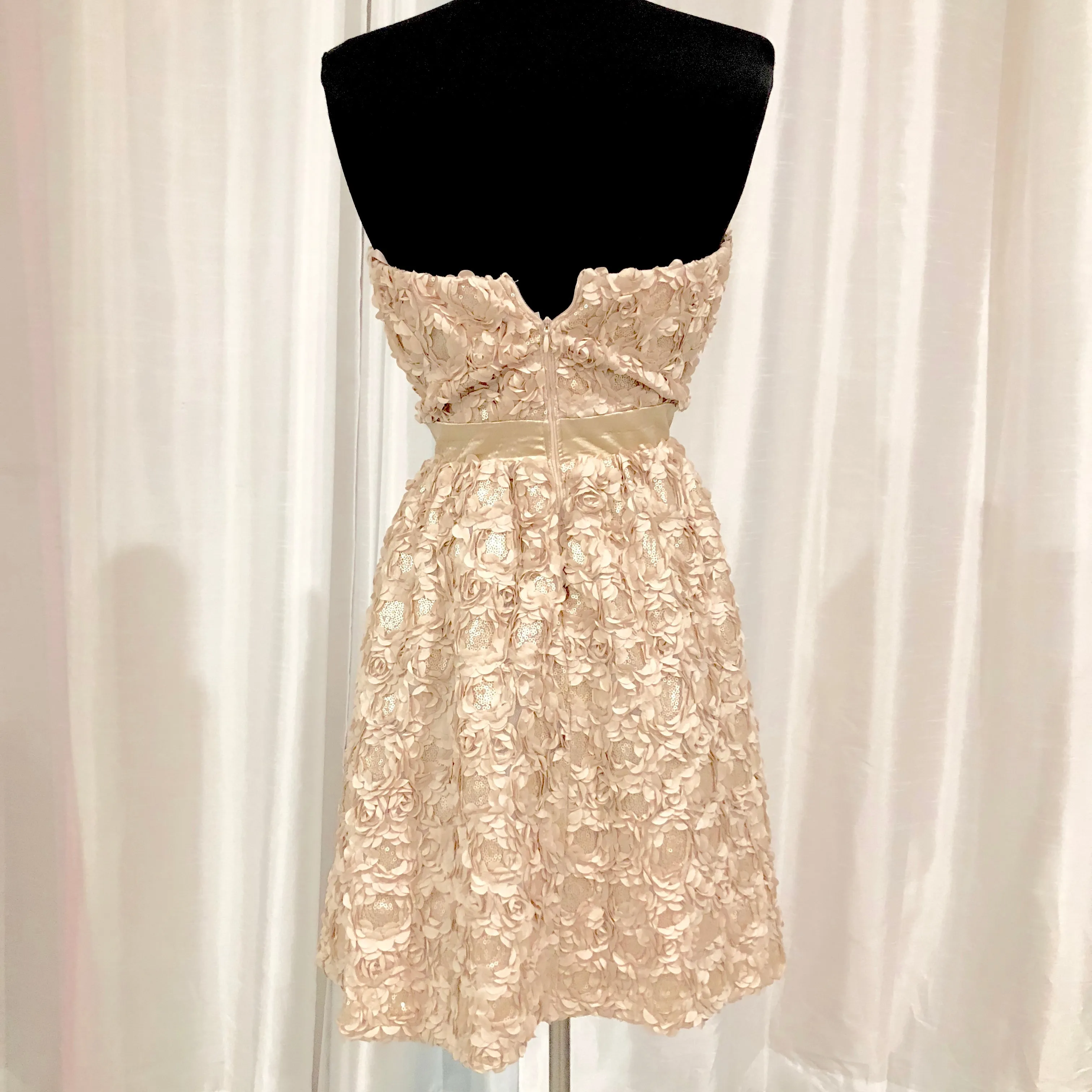 BOUTIQUE Short Cream Strapless Gown Size 11