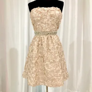 BOUTIQUE Short Cream Strapless Gown Size 11