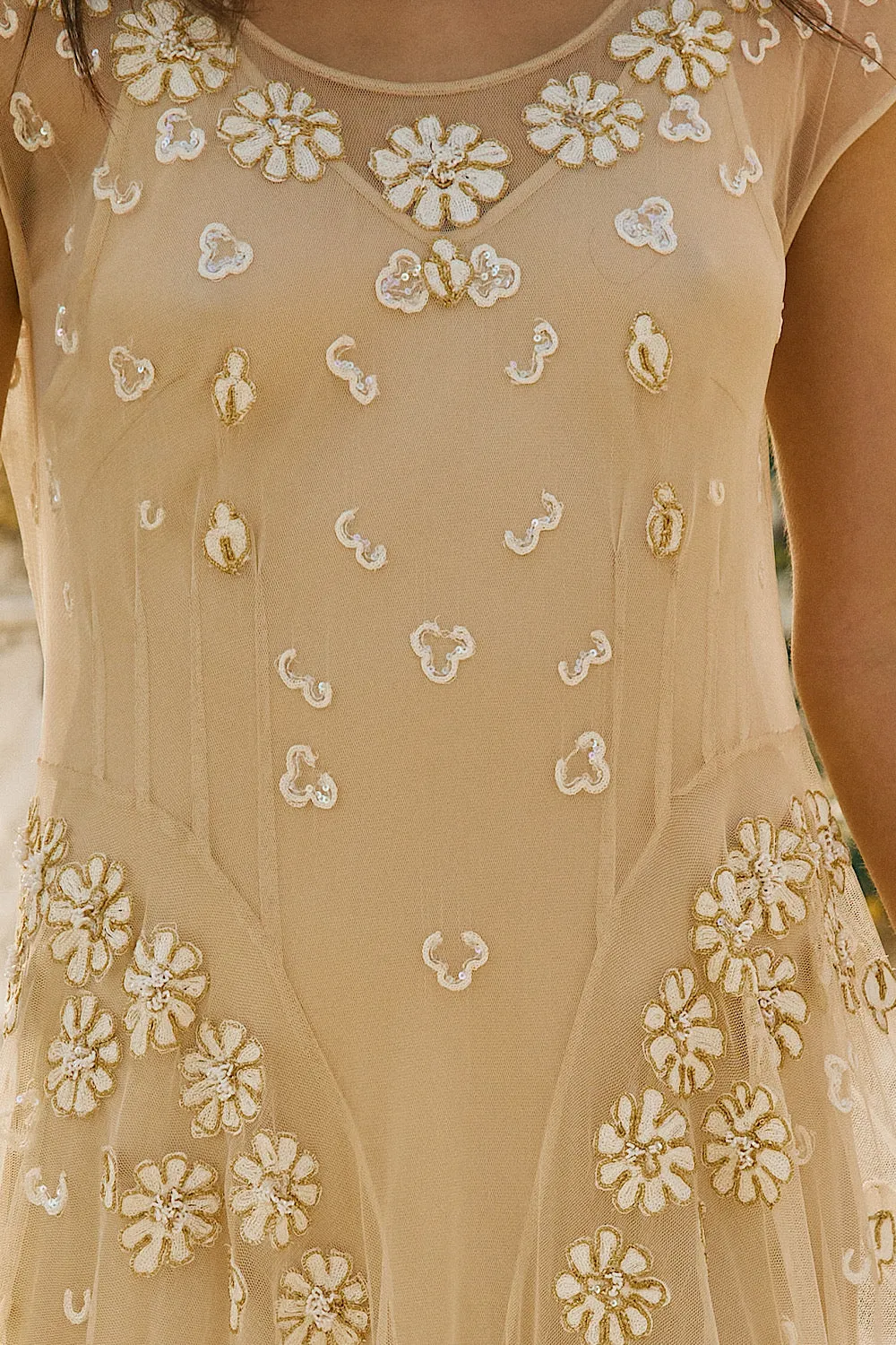 More Than This Tulle, Embroidered   Beaded Maxi Dress