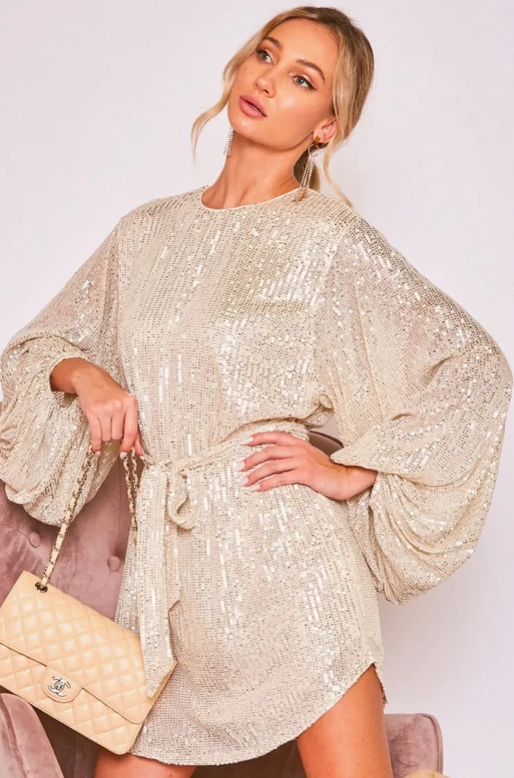Round Neck Balloon Sleeve Sequin Mini Dress-Taupe