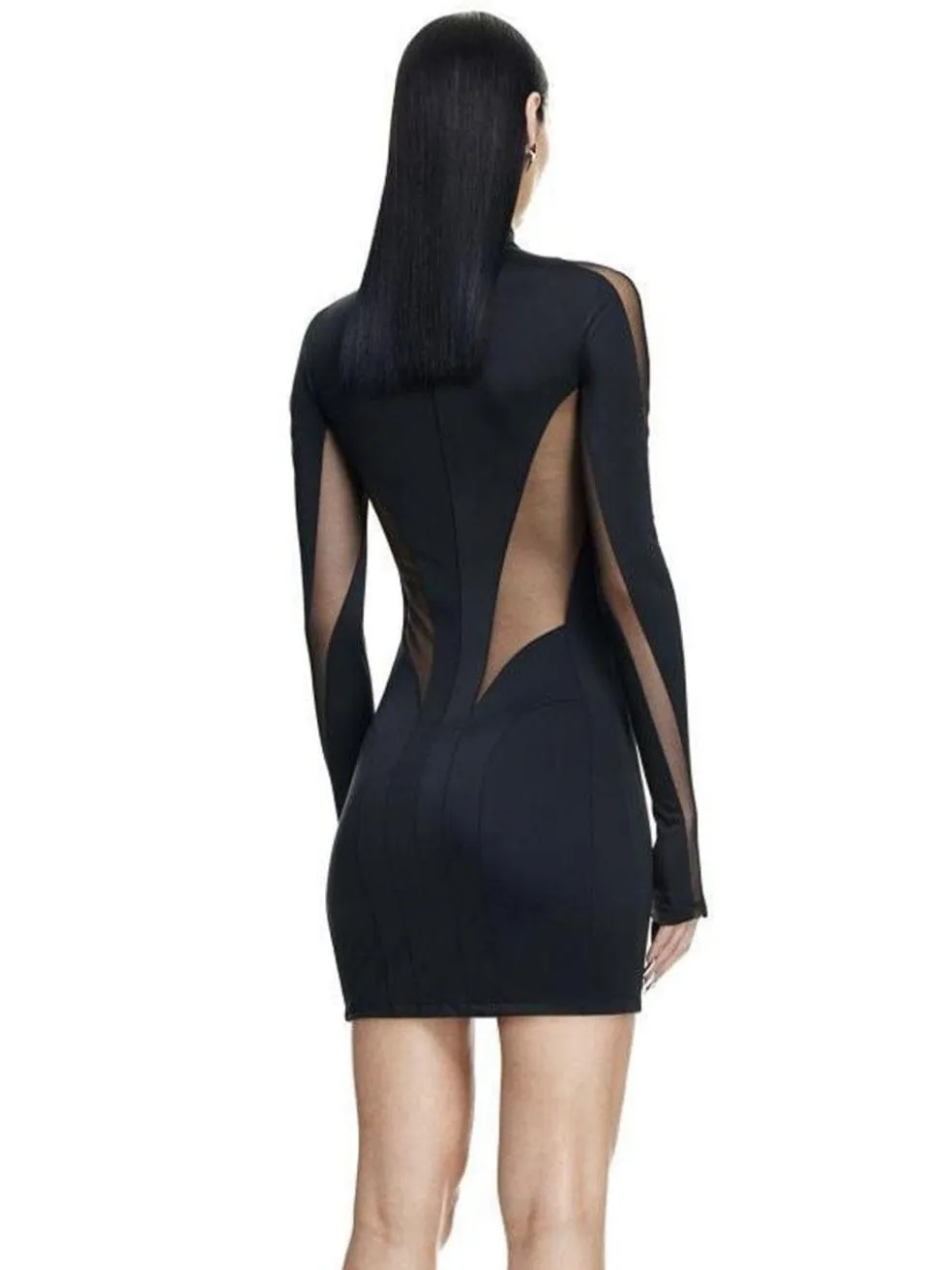 Sheer Panel Dress